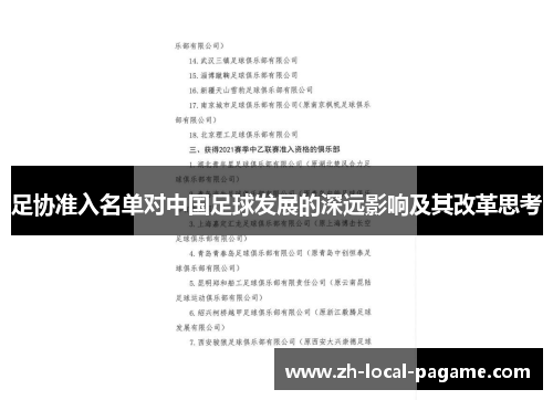 足协准入名单对中国足球发展的深远影响及其改革思考