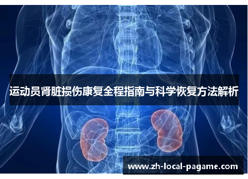运动员肾脏损伤康复全程指南与科学恢复方法解析 运动员肾脏损伤康复全程指南与科学恢复方法解析