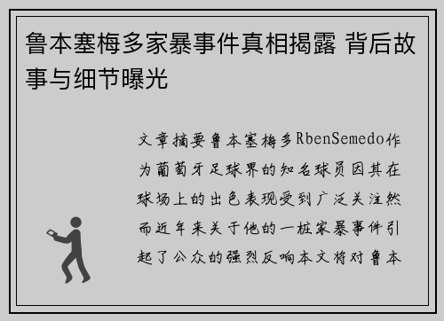 鲁本塞梅多家暴事件真相揭露 背后故事与细节曝光